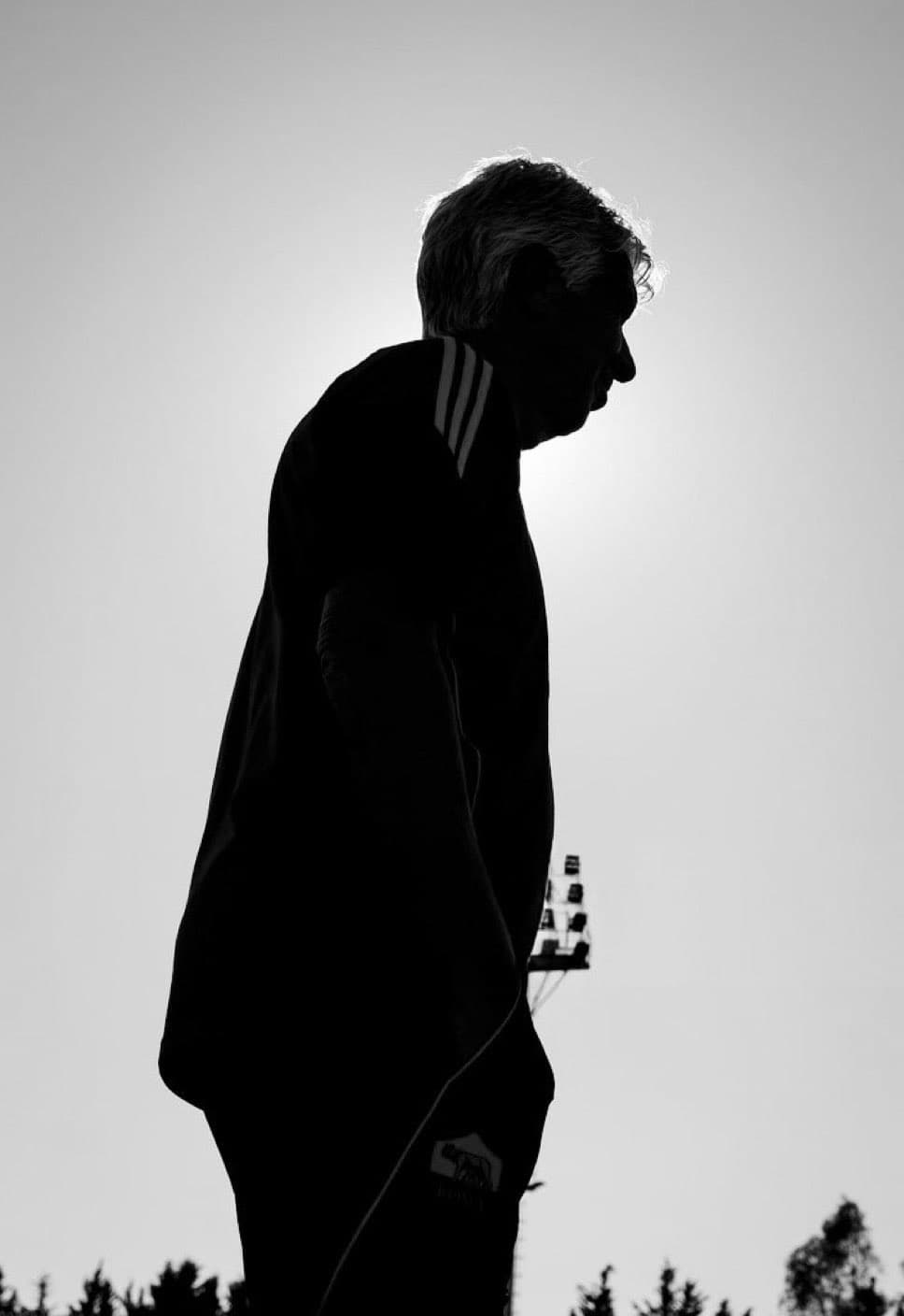 Cover Image for Il fattore campo